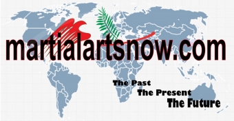 Martialartsnow.com Logo